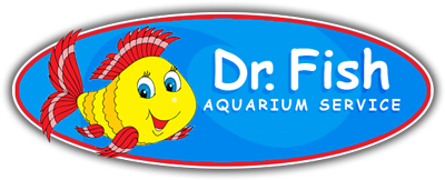 Dr Fish Aquarium Service - Aquarium Sales, Installation, Supplies, Equipments, & Cleaning Services in Las Vegas, NV -(702) 303-7947